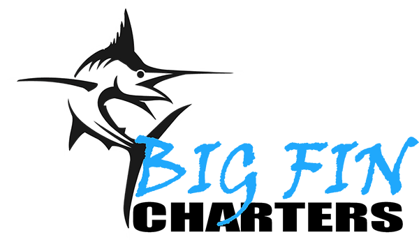 Local FIshing Charter, Licensed Fishing Charter Company, Fernandina Beach  & Amelia Island, FL